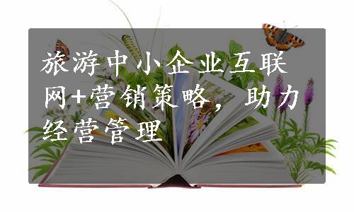 旅游中小企业互联网+营销策略，助力经营管理