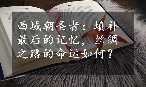 西域朝圣者：填补最后的记忆，丝绸之路的命运如何？