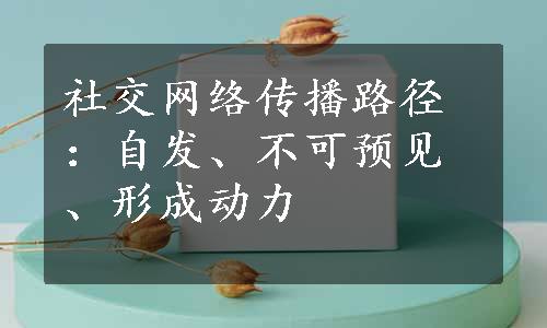 社交网络传播路径：自发、不可预见、形成动力