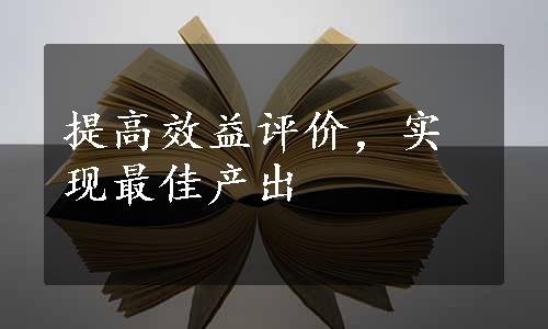 提高效益评价，实现最佳产出