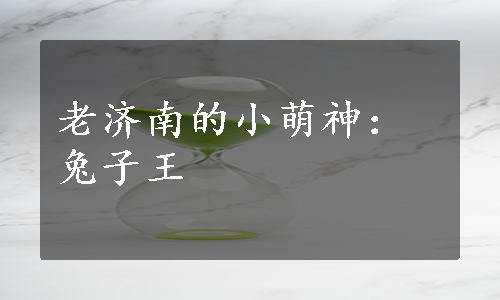 老济南的小萌神：兔子王