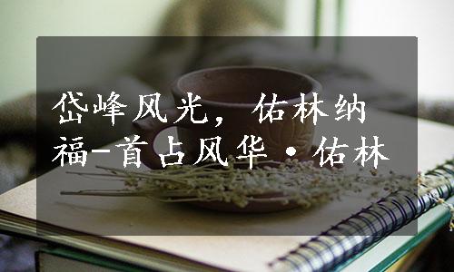 岱峰风光，佑林纳福-首占风华·佑林