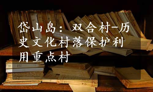 岱山岛：双合村-历史文化村落保护利用重点村