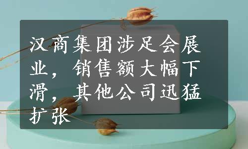 汉商集团涉足会展业，销售额大幅下滑，其他公司迅猛扩张