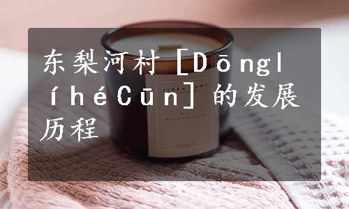 东梨河村［DōnglíhéCūn］的发展历程