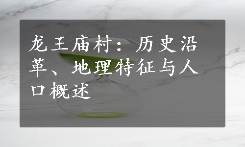 龙王庙村：历史沿革、地理特征与人口概述