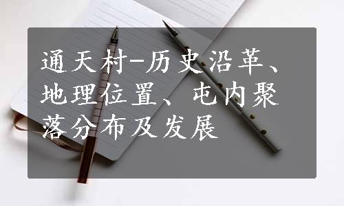 通天村-历史沿革、地理位置、屯内聚落分布及发展