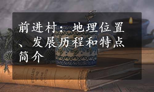 前进村：地理位置、发展历程和特点简介