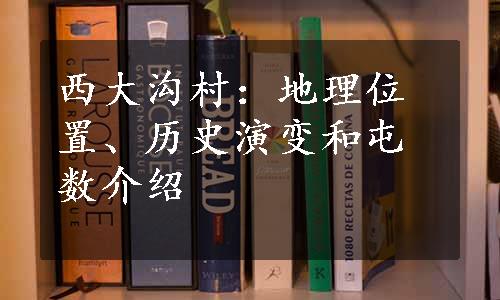 西大沟村：地理位置、历史演变和屯数介绍