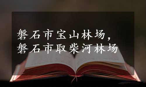 磐石市宝山林场，磐石市取柴河林场