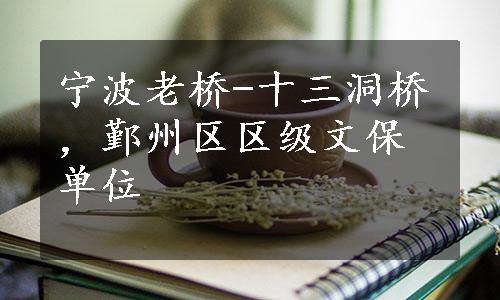 宁波老桥-十三洞桥，鄞州区区级文保单位