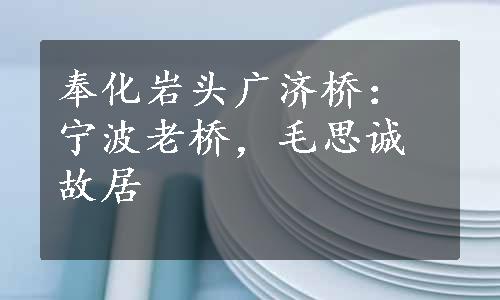 奉化岩头广济桥：宁波老桥，毛思诚故居