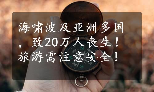 海啸波及亚洲多国，致20万人丧生！旅游需注意安全！