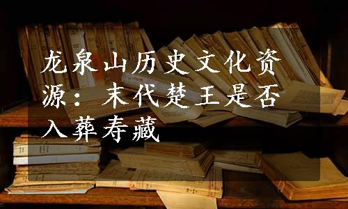 龙泉山历史文化资源：末代楚王是否入葬寿藏