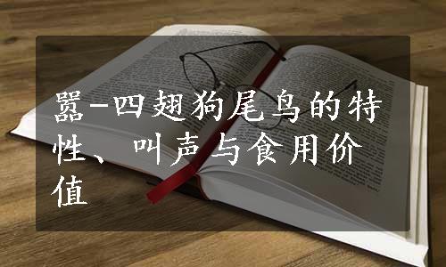 嚣-四翅狗尾鸟的特性、叫声与食用价值