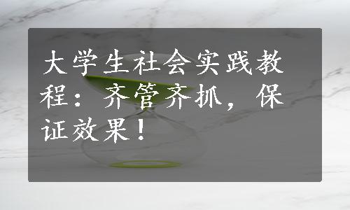 大学生社会实践教程：齐管齐抓，保证效果！