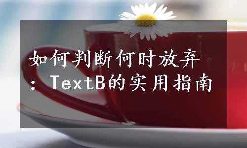 如何判断何时放弃：TextB的实用指南