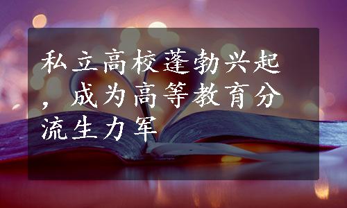 私立高校蓬勃兴起，成为高等教育分流生力军