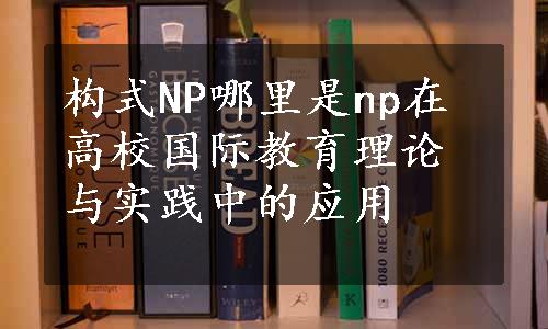 构式NP哪里是np在高校国际教育理论与实践中的应用