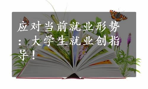 应对当前就业形势：大学生就业创指导！