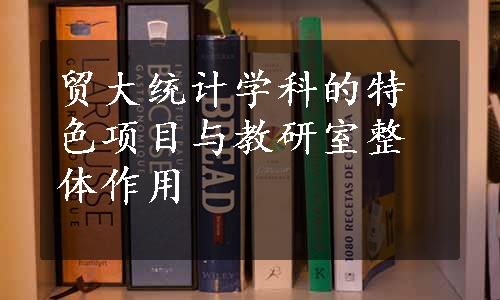 贸大统计学科的特色项目与教研室整体作用