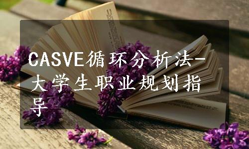 CASVE循环分析法-大学生职业规划指导