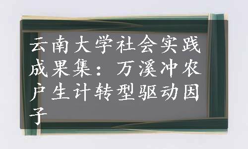 云南大学社会实践成果集：万溪冲农户生计转型驱动因子