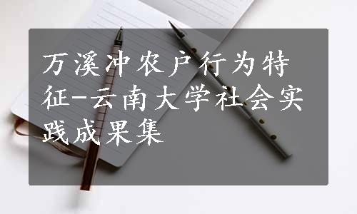 万溪冲农户行为特征-云南大学社会实践成果集