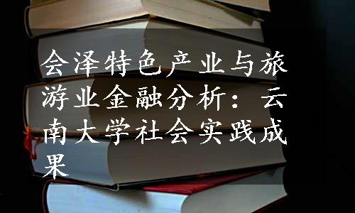 会泽特色产业与旅游业金融分析：云南大学社会实践成果