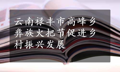 云南禄丰市高峰乡彝族火把节促进乡村振兴发展