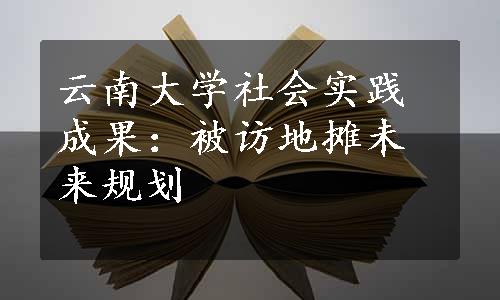 云南大学社会实践成果：被访地摊未来规划