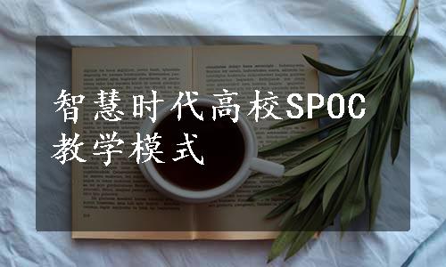 智慧时代高校SPOC教学模式