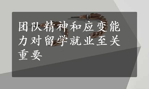 团队精神和应变能力对留学就业至关重要