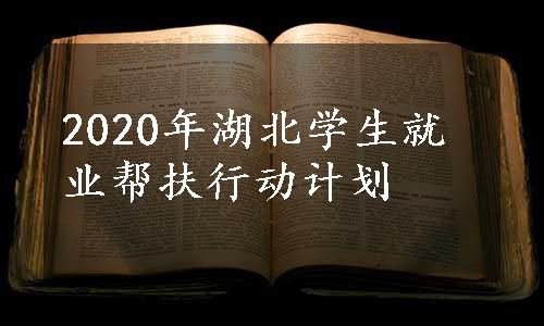 2020年湖北学生就业帮扶行动计划