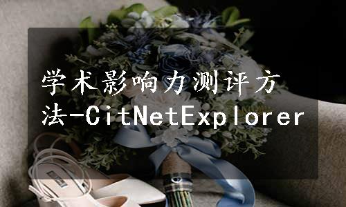 学术影响力测评方法-CitNetExplorer