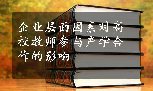 企业层面因素对高校教师参与产学合作的影响