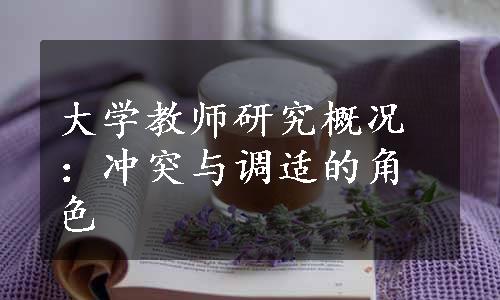 大学教师研究概况：冲突与调适的角色