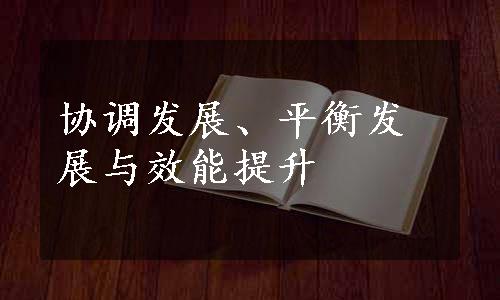 协调发展、平衡发展与效能提升