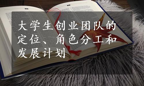 大学生创业团队的定位、角色分工和发展计划