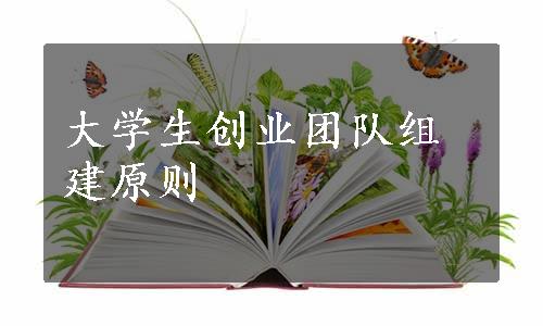 大学生创业团队组建原则