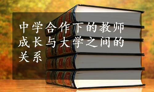 中学合作下的教师成长与大学之间的关系