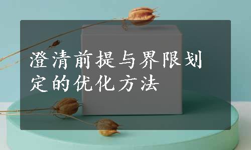 澄清前提与界限划定的优化方法