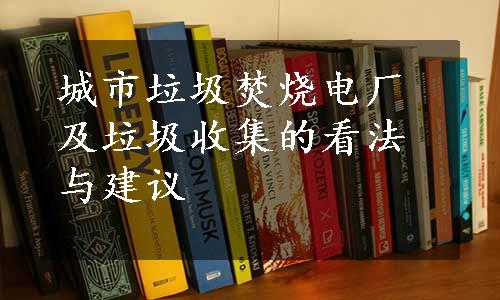 城市垃圾焚烧电厂及垃圾收集的看法与建议