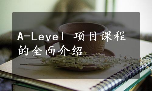 A-Level 项目课程的全面介绍