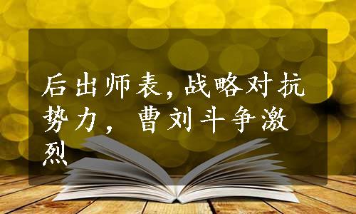 后出师表,战略对抗势力，曹刘斗争激烈