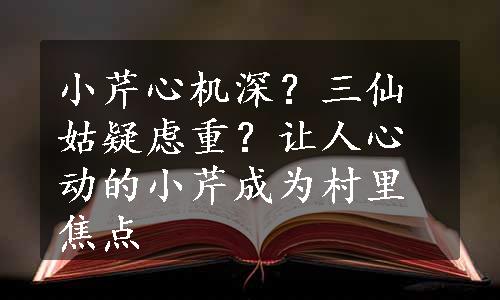 小芹心机深？三仙姑疑虑重？让人心动的小芹成为村里焦点