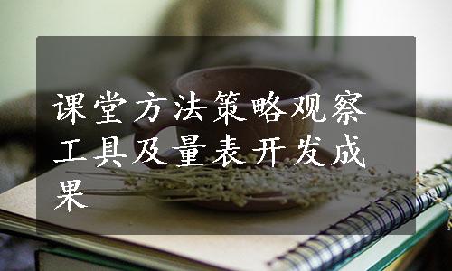 课堂方法策略观察工具及量表开发成果