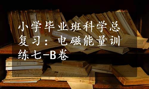 小学毕业班科学总复习：电磁能量训练七-B卷