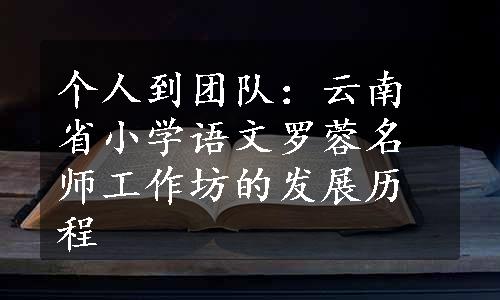 个人到团队：云南省小学语文罗蓉名师工作坊的发展历程