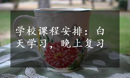 学校课程安排：白天学习，晚上复习